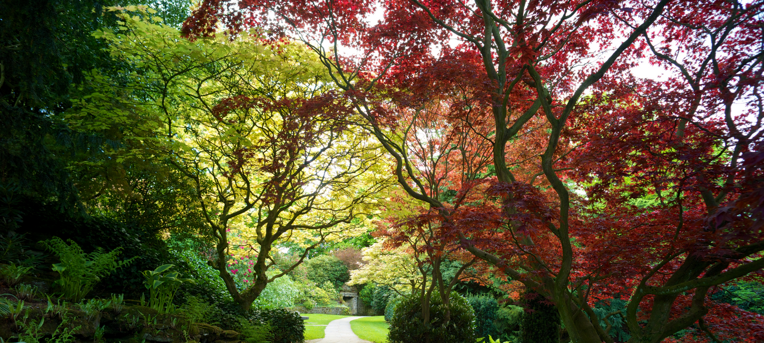 Historic Gardens - Wentworth Garden Centre