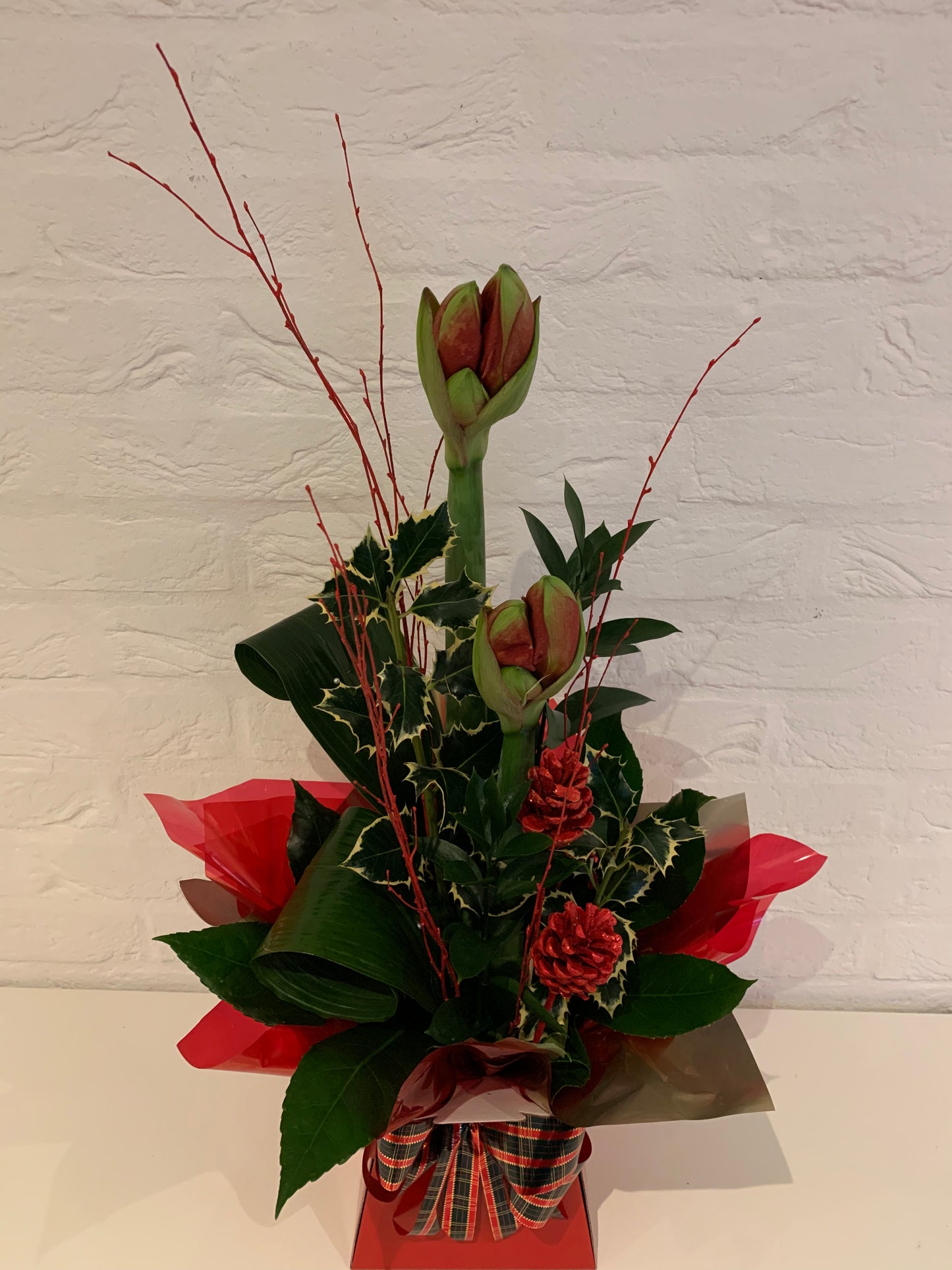 Festive Flowers - Amaryllis Box Arrangement