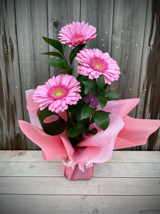 Gerbera Arrangement