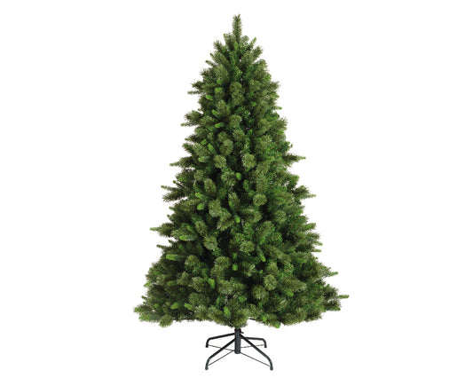 Everlands 6ft 'Edmonton Spruce'