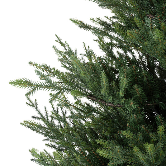 Everlands 7ft ‘Norway Spruce'