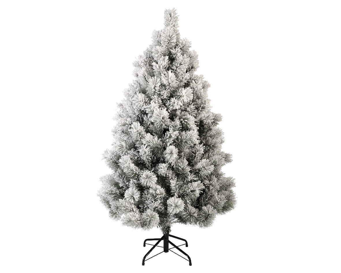 Everlands 5ft ‘Snowy Vancouver Pine'