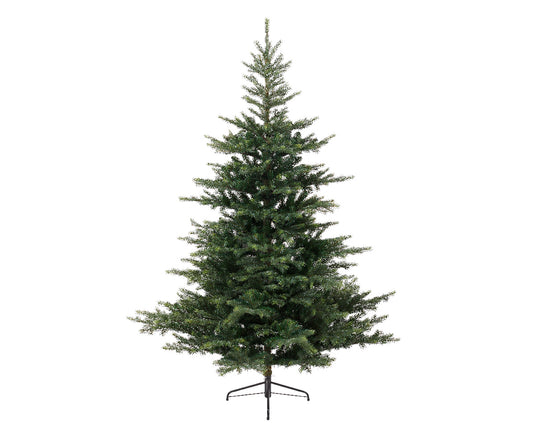 Everlands 6ft 'Grandis Fir'