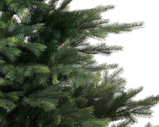 Everlands 6ft 'Grandis Fir'